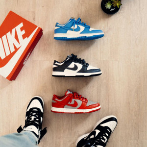 Nike Dunk Low Sneakers